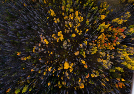 Aerial 5