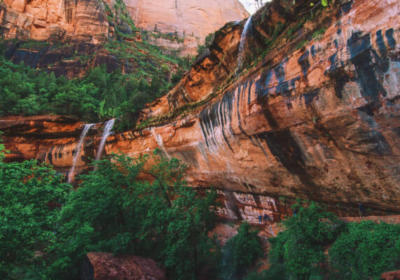 Landscapes 5